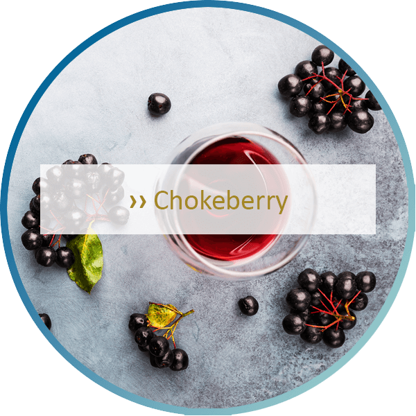 Chokeberry 600×600