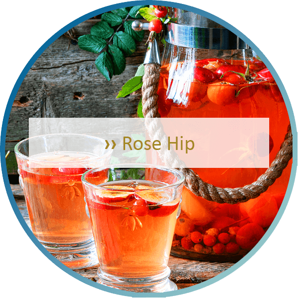 Rose Hip 600×600